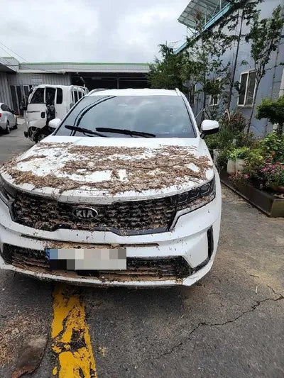 2021 Kia Sorento VIN: