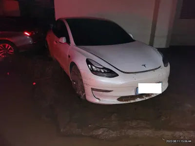 2020 Tesla Model 3 5YJ3E1EB9LF750825 VIN:5YJ3E1EB9LF750825