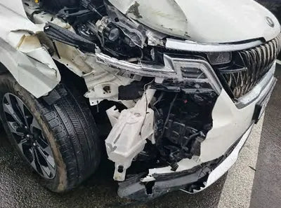 2021 Kia Carnival KNANE81BBMS024429 VIN:KNANE81BBMS024429