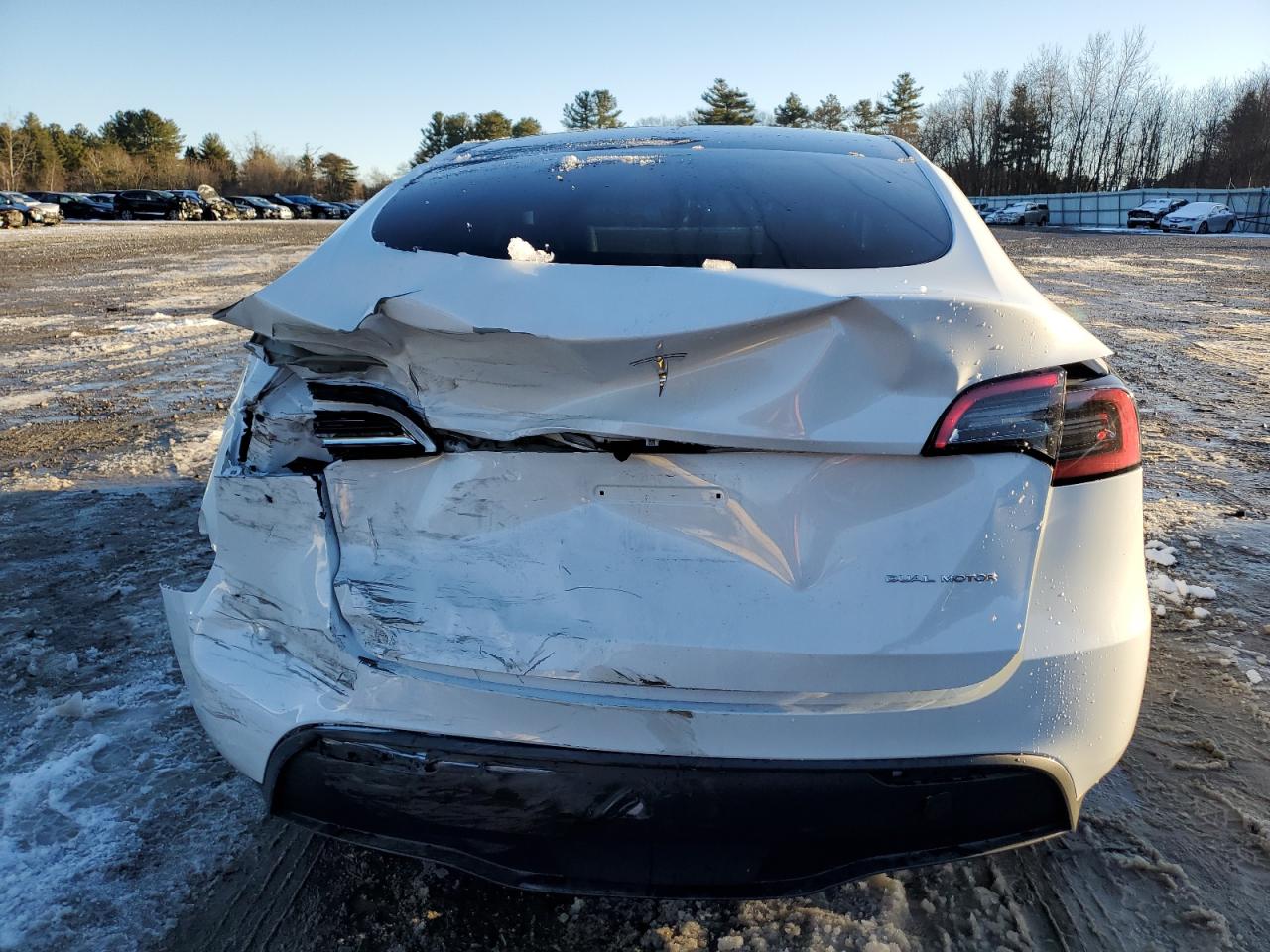 2023 TESLA MODEL Y  VIN:7SAYGDEE5PA129745