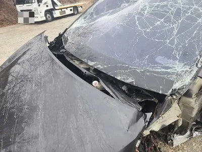 2017 Kia Carnival VIN: