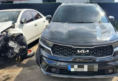 2021 Kia Sorento KNARF81FGNA132312 VIN:KNARF81FGNA132312