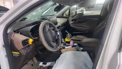 2020 Hyundai Santa FE KMHS381CBLU261557 VIN:KMHS381CBLU261557