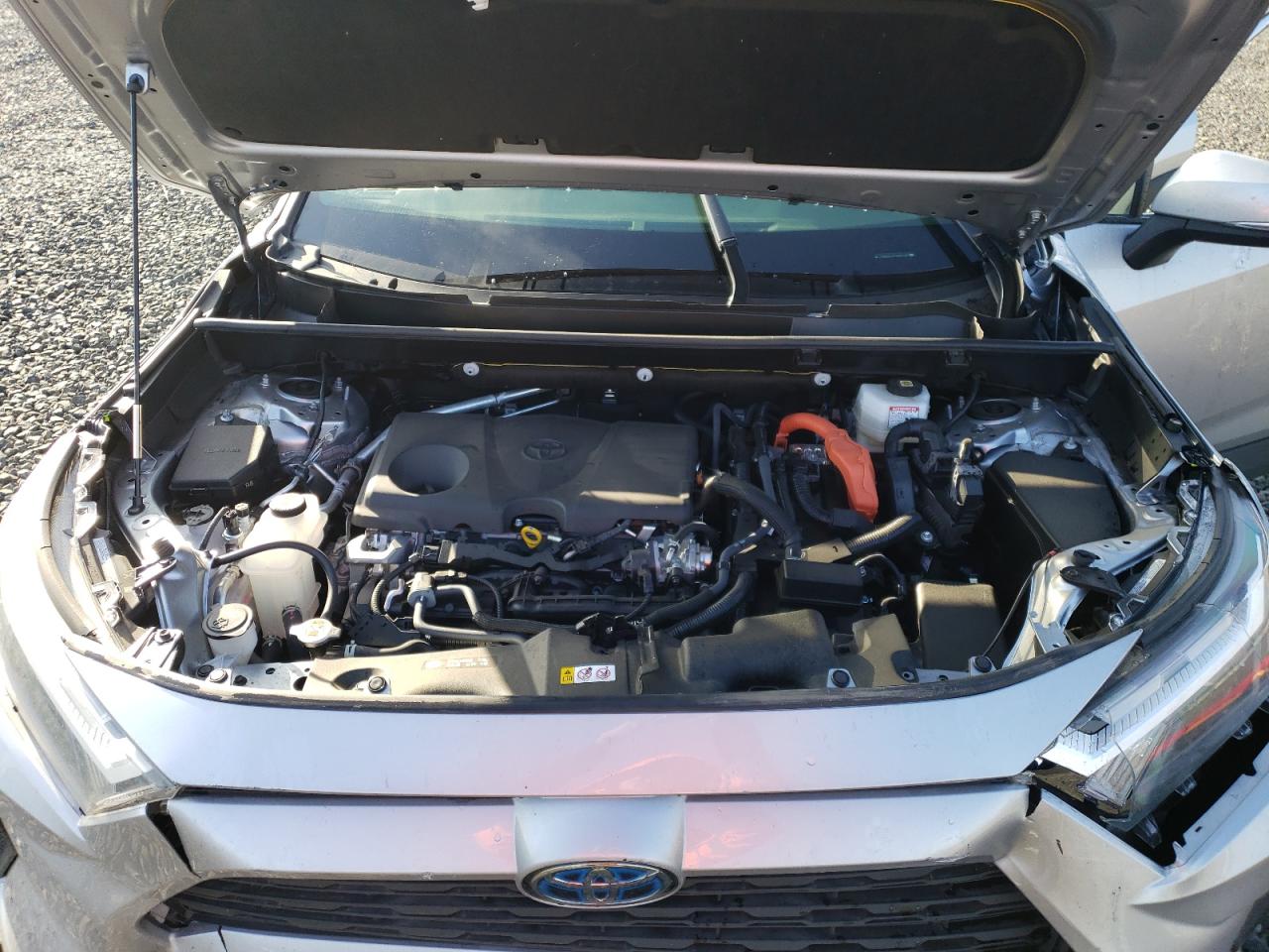 2023 TOYOTA RAV4 XLE VIN:JTMRWRFVXPJ056125