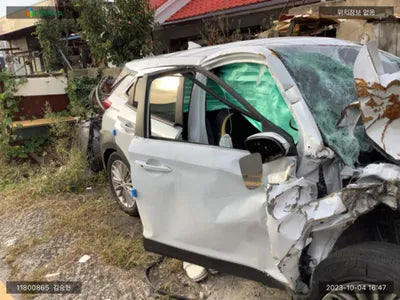 2020 Hyundai Kona KMHK4815GLU650145 VIN:KMHK4815GLU650145