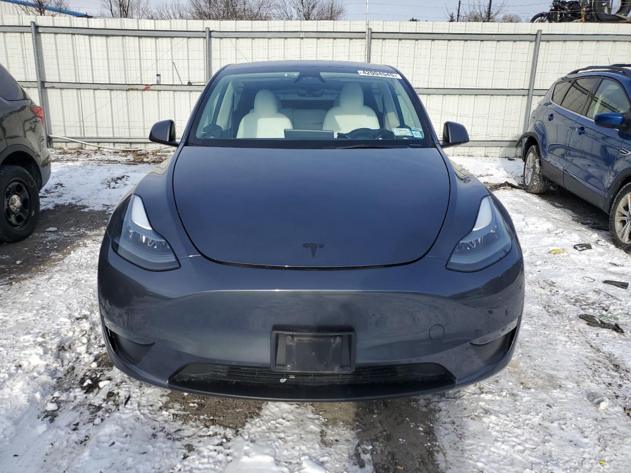 2023 TESLA MODEL Y  VIN:7SAYGDEEXPF883467