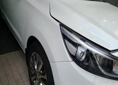 2017 Kia Carnival 318KMKNAME81ABHS3 VIN:318KMKNAME81ABHS3