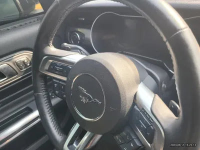 2019 Ford Mustang VIN:
