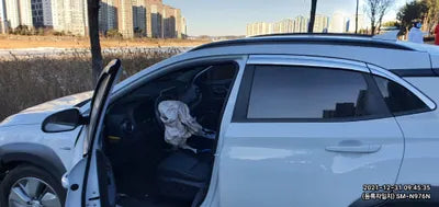 2020 Hyundai Kona KMHK381GFLU087090 VIN:KMHK381GFLU087090