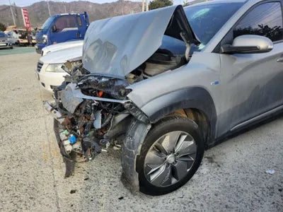 2020 Hyundai Kona KMHK381GFLU088119 VIN:KMHK381GFLU088119