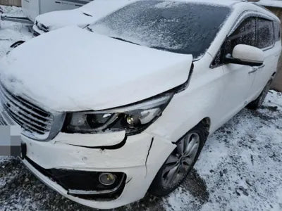 2015 Kia Carnival KNAME81ABFS054230 VIN:KNAME81ABFS054230