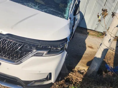 2023 Kia Carnival KNANE813BPS353234 VIN:KNANE813BPS353234