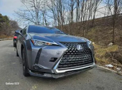 2019 Lexus UX 250 JTHY6JBH6K2001251 VIN:JTHY6JBH6K2001251