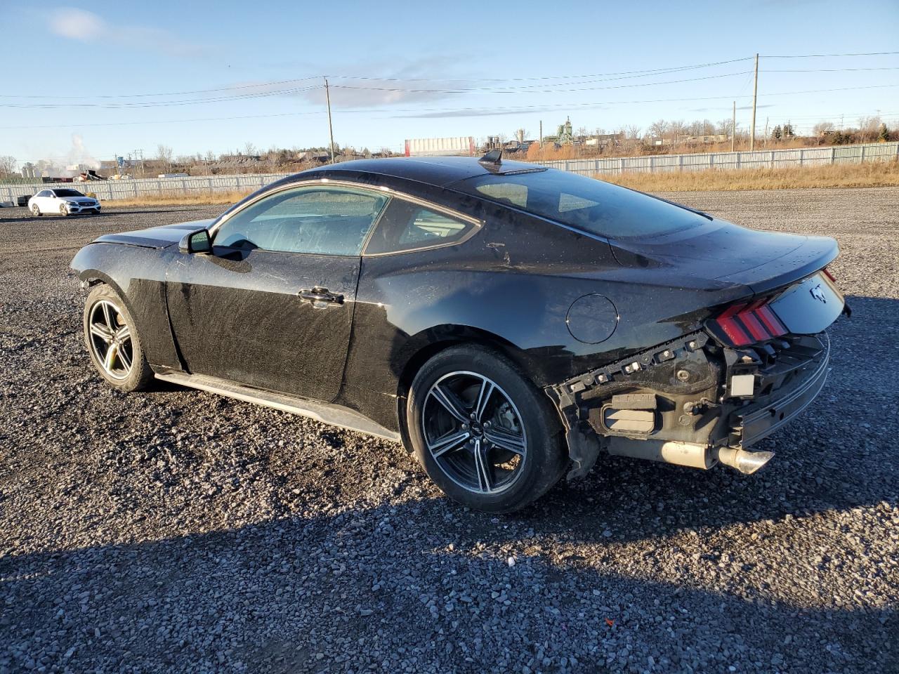 2024 FORD MUSTANG  VIN:1FA6P8THXR5129875