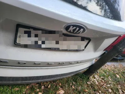 2020 Kia Sorento KNARF81BHMA008085 VIN:KNARF81BHMA008085