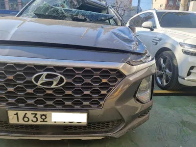 2019 Hyundai Santa FE KMHS381ABLU247383 VIN:KMHS381ABLU247383