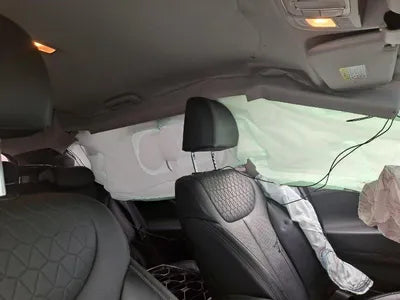 2020 Hyundai Santa FE KMHS281BBLU239686 VIN:KMHS281BBLU239686