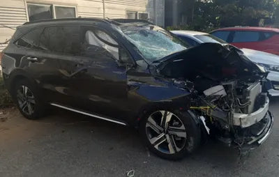 2023 Kia Sorento KNARL81GBPA208641 VIN:KNARL81GBPA208641
