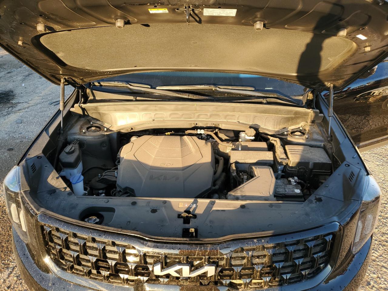 2024 KIA TELLURIDE SX VIN:5XYP5DGC6RG478325
