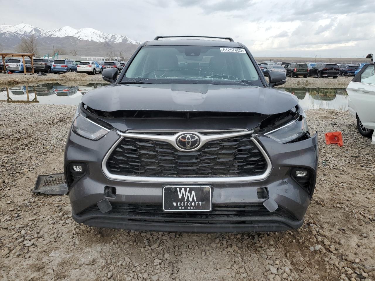 2023 TOYOTA HIGHLANDER L VIN:5TDKDRBH9PS519155