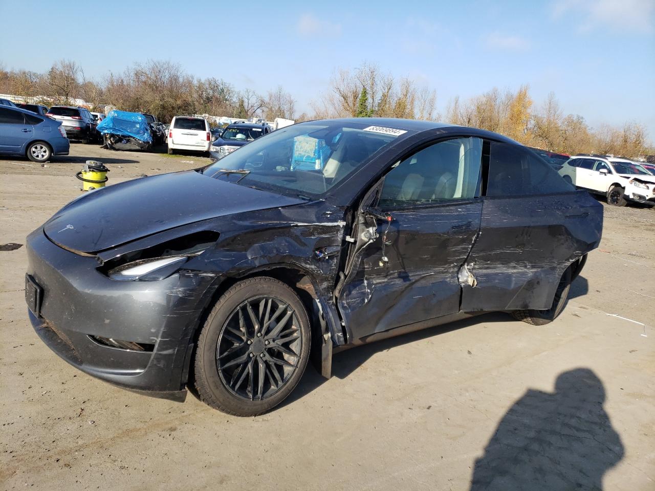 2024 TESLA MODEL Y  VIN:7SAYGDEE6RF151288