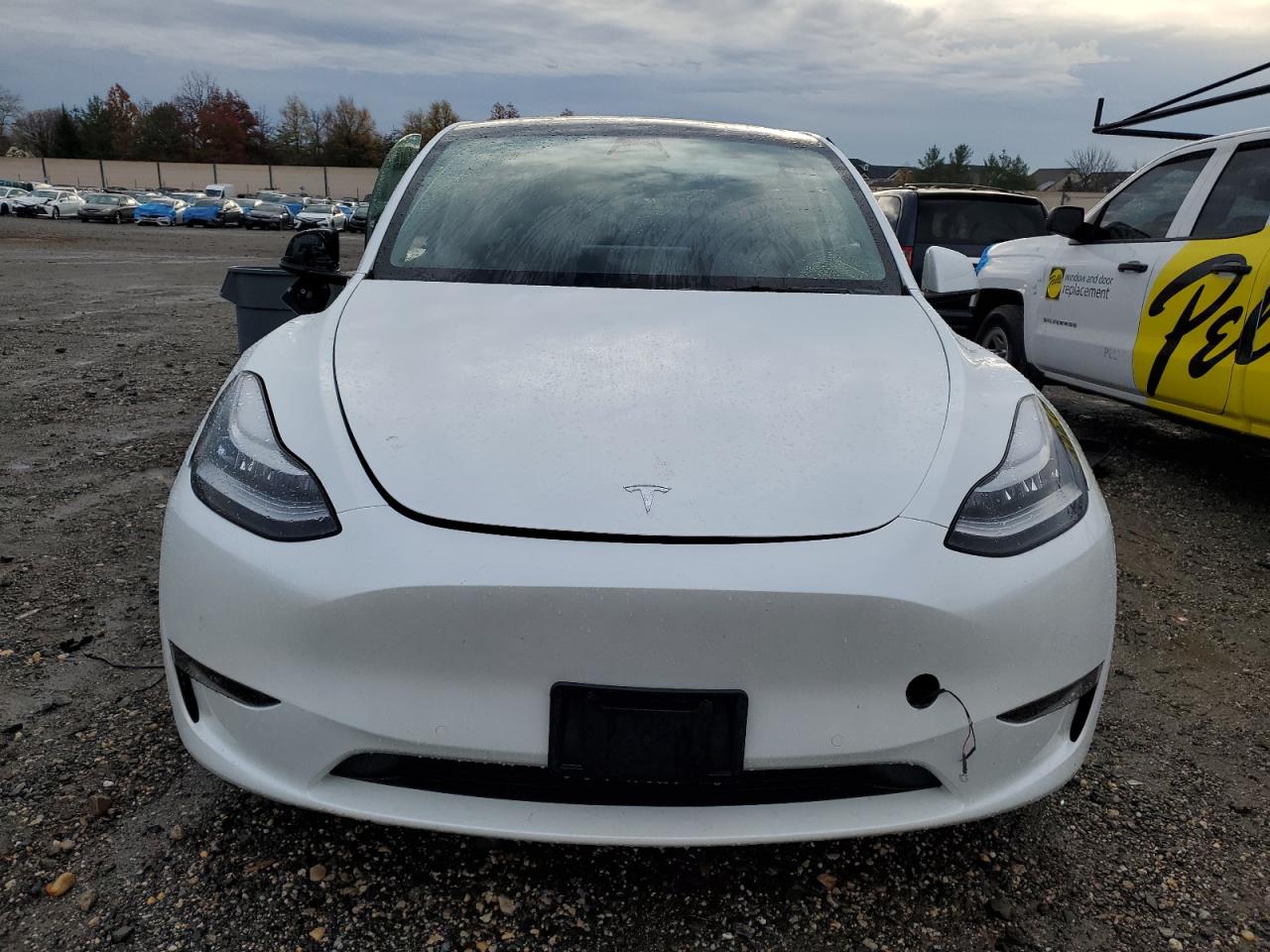 2022 TESLA MODEL Y  VIN:7SAYGDEE6NA019848