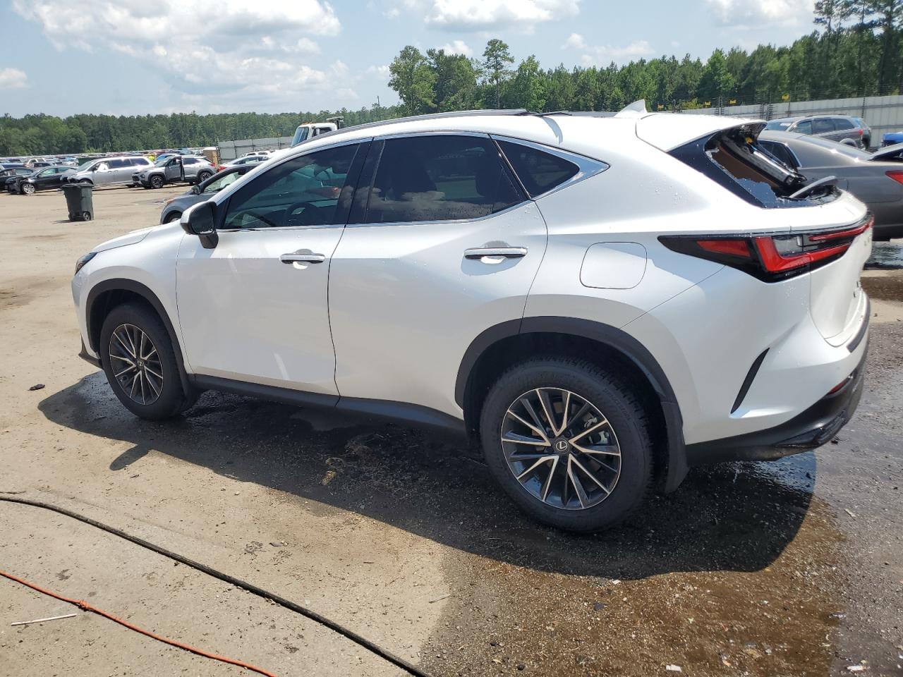 2024 LEXUS NX 350 LUXURY VIN:2T2HGCEZ5RC056117