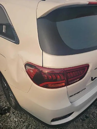 2019 Kia Sorento KNAPH81BBLA612488 VIN:KNAPH81BBLA612488