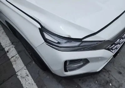 2019 Hyundai Santa FE KMHS381BBKU157042 VIN:KMHS381BBKU157042