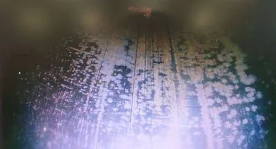 2019 Mercedes-Benz Maybach S 560 VIN: