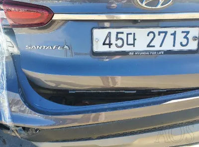 2019 Hyundai Santa FE KMHS381BBKU021969 VIN:KMHS381BBKU021969