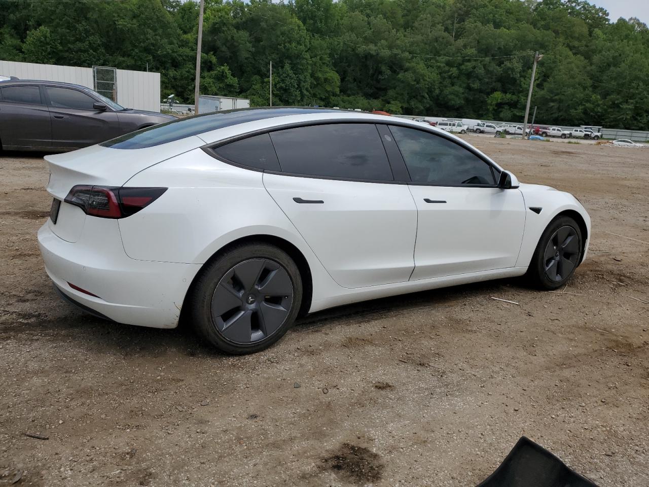2022 TESLA MODEL 3  VIN:5YJ3E1EA5NF351193