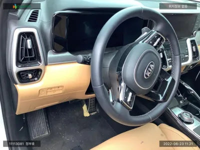 2020 Kia Sorento KNARH81GBMA020392 VIN:KNARH81GBMA020392