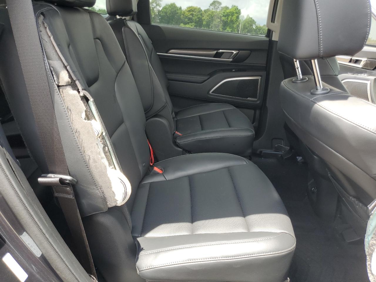 2024 KIA TELLURIDE S VIN:5XYP6DGC4RG520892