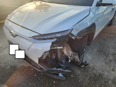 2019 Hyundai Kona KMHK381GFKU039767 VIN:KMHK381GFKU039767