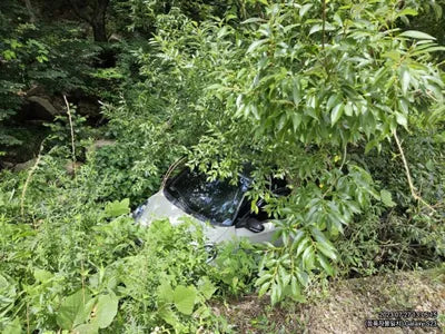 2021 Mercedes-Benz Smart KL90B2Z7EMZD6J039 VIN:KL90B2Z7EMZD6J039