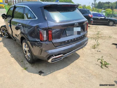 2020 Kia Sorento KNARL81BGMA010120 VIN:KNARL81BGMA010120