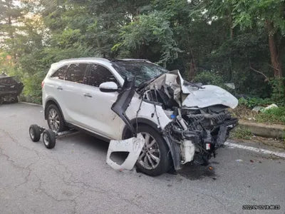 2016 Kia Sorento 841KMKNAPK81ADGA1 VIN:841KMKNAPK81ADGA1