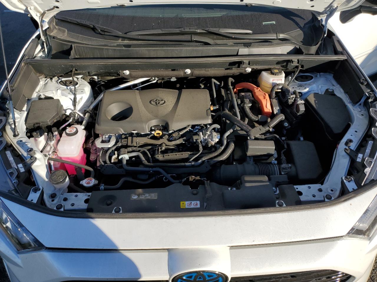 2023 TOYOTA RAV4 XSE VIN:4T3E6RFV6PU118507