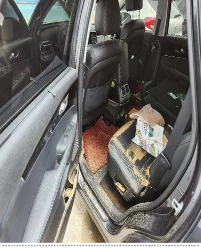 2020 Kia Sorento KNAPH81BDLA596979 VIN:KNAPH81BDLA596979