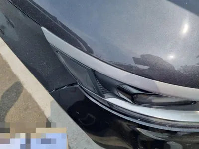 2021 Kia Carnival KNANB81BBMS113372 VIN:KNANB81BBMS113372
