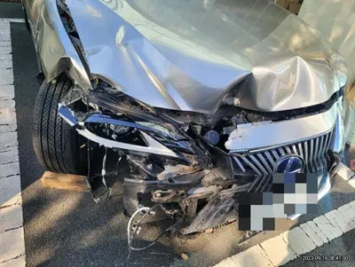 2019 Lexus ES 300 VIN: