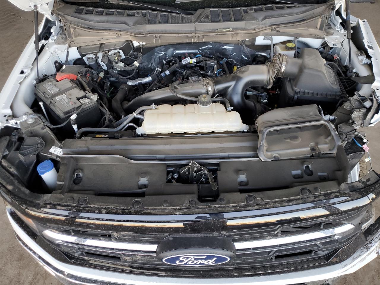 2024 FORD F150 XLT VIN:1FTEW3LP2RKD38855