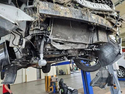 2019 Kia Carnival KNAMB81ABKS502641 VIN:KNAMB81ABKS502641