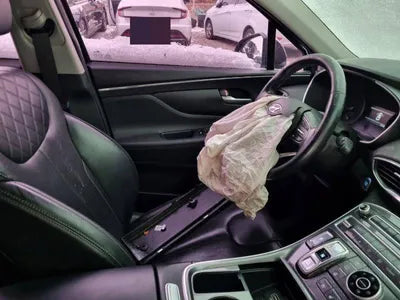 2020 Hyundai Santa FE 1KMHS281BBLU28875 VIN:1KMHS281BBLU28875