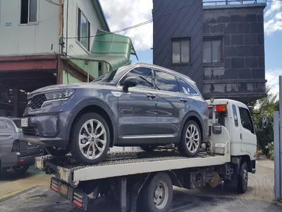 2022 Kia Sorento KNARF81BGNA155642 VIN:KNARF81BGNA155642