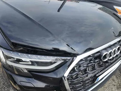 2023 Audi 50 WAUZZZF83PN005461 VIN:WAUZZZF83PN005461