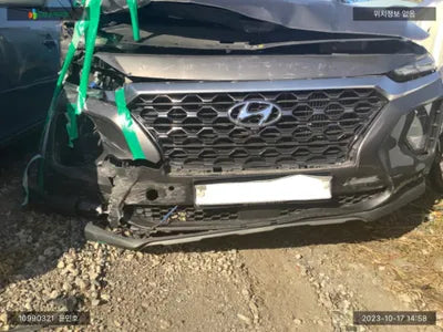 2019 Hyundai Santa FE KMHS381BBKU135688 VIN:KMHS381BBKU135688
