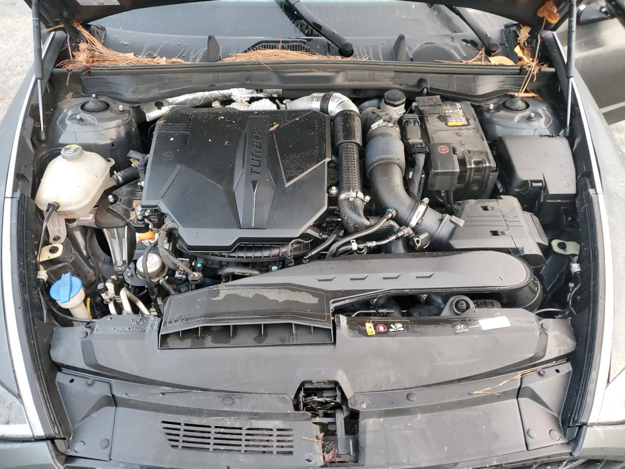 2022 HYUNDAI SONATA N LINE VIN:KMHL14JC2NA225995