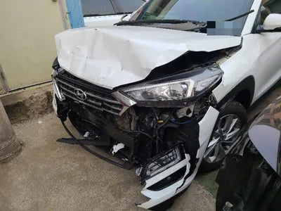 2019 Hyundai Tucson KMHJ281ABLU192693 VIN:KMHJ281ABLU192693